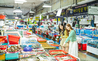 신성리갈대밭