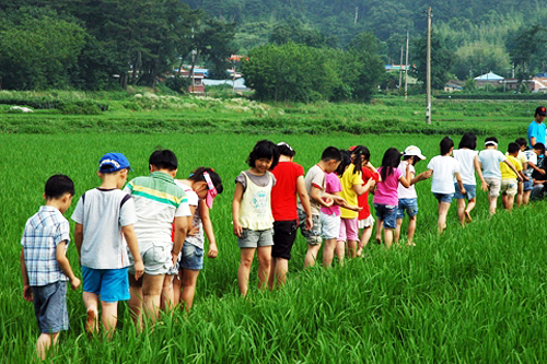 황새마을 사진